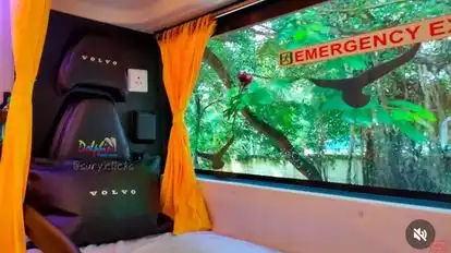 Dolphin  travel  house Bus-Seats Image