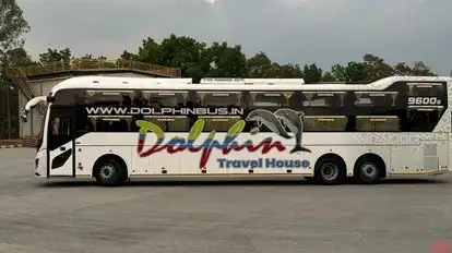 Dolphin  travel  house Bus-Side Image
