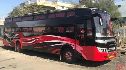 Dolphin  travel  house Bus-Side Image