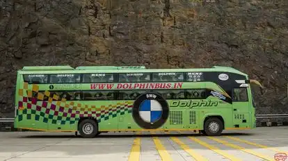 Dolphin  travel  house Bus-Side Image