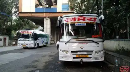 Dolphin  travel  house Bus-Front Image