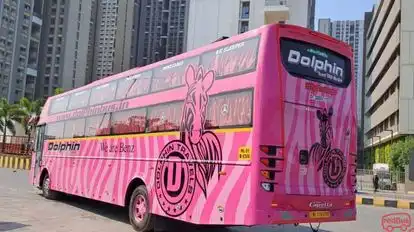 Dolphin  travel  house Bus-Side Image