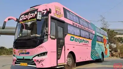 Dolphin  travel  house Bus-Side Image