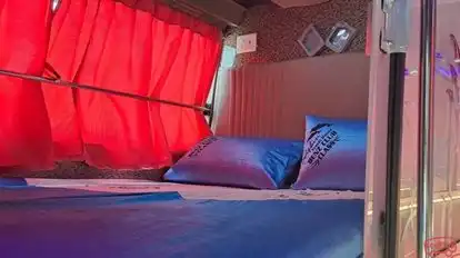 Dolphin  travel  house Bus-Seats Image