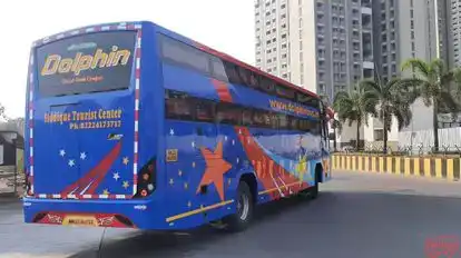 Dolphin  travel  house Bus-Side Image