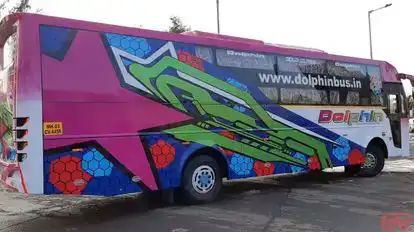 Dolphin  travel  house Bus-Side Image