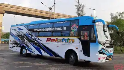 Dolphin  travel  house Bus-Side Image