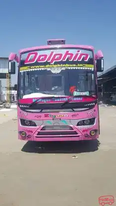 Dolphin  travel  house Bus-Front Image