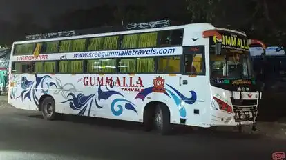 Sree Gummalla Travels  Bus-Side Image