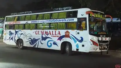 Sree Gummalla Travels  Bus-Side Image
