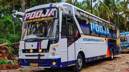 Pooja  travels  Bus-Side Image