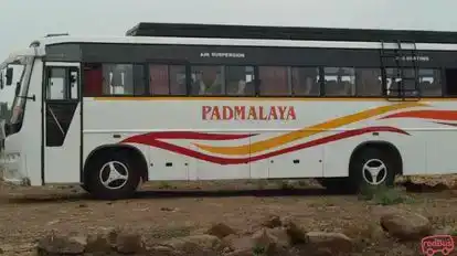 Padmalaya Travels Bus-Side Image