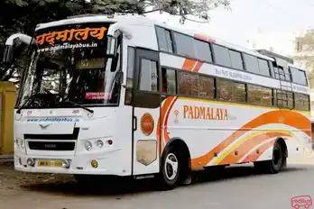 Padmalaya Travels Bus-Seats layout Image