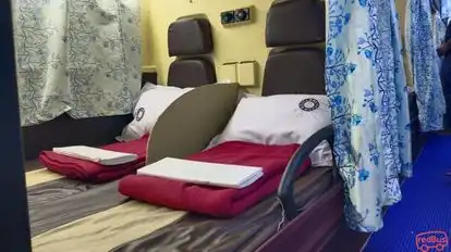 Bengal  Tiger Bus-Seats Image