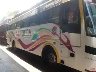Sangita shalimar tourist mumbai Bus-Side Image