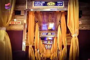 Sri Krishna Travels Bus-Seats layout Image