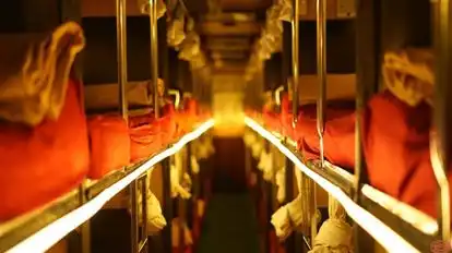 National Travels Madurai Bus-Seats Image