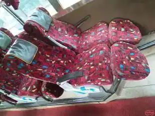 Nbs travels Bus-Seats Image