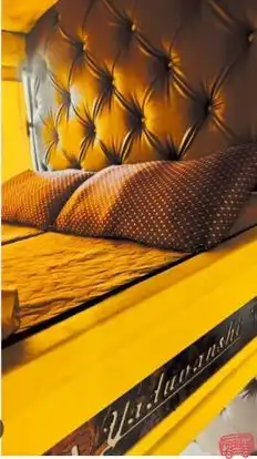Raj Laxmi Travels Bus-Seats Image