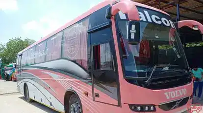 Eagle falcon bus Bus-Side Image