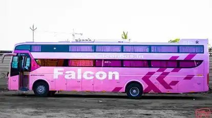 Eagle falcon bus Bus-Side Image