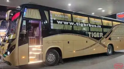 Punjab    Travels Bus-Side Image