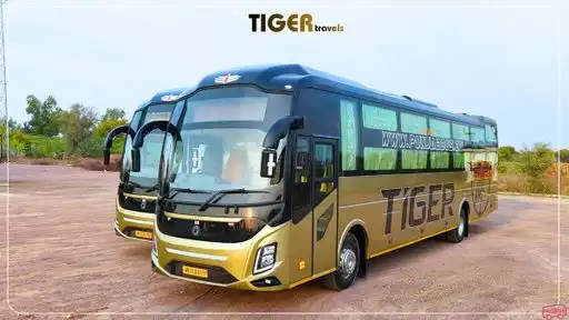 Punjab    Travels Bus-Front Image