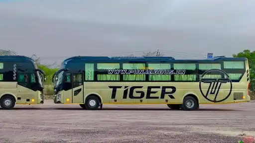 Punjab    Travels Bus-Front Image