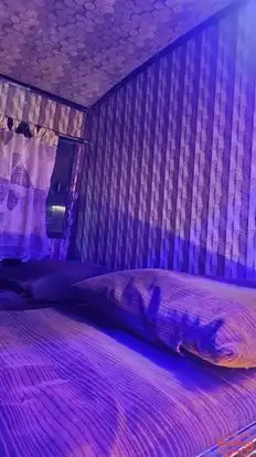 Paavan   Travels Bus-Seats Image