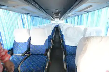 Saini  Travels Pvt. Ltd. Bus-Front Image