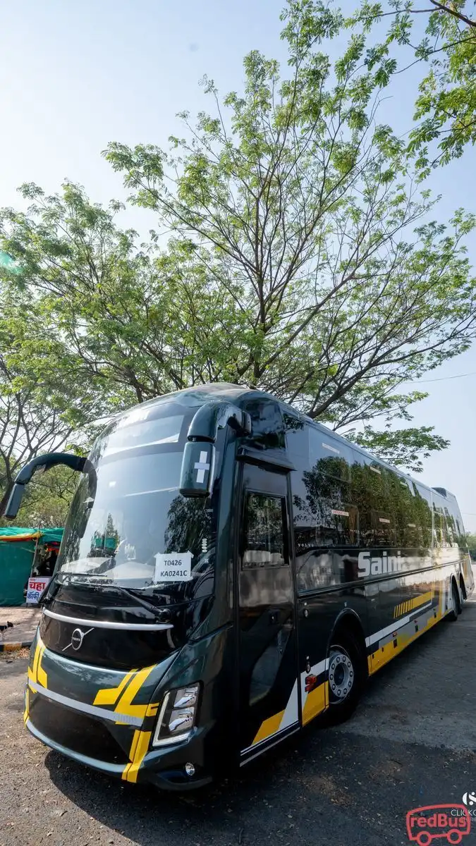 Saini  Travels Pvt. Ltd. Bus-Front Image