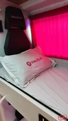 PAL BUS(Patel Travels®) Bus-Seats Image