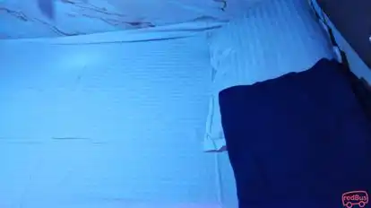 Swagat  Travels Bus-Seats Image