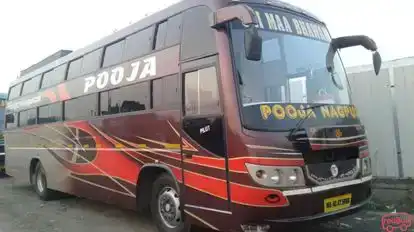 Pooja Travels Nagpur Bus-Side Image