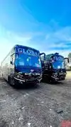 Global   Travels Bus-Front Image