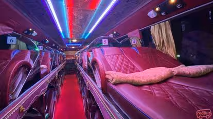 Saly VIP  Bus-Seats Image