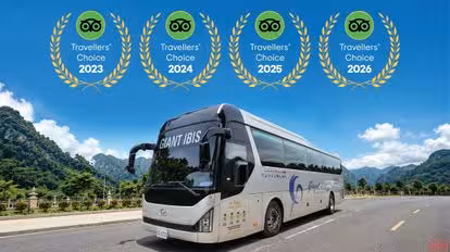 Giant Ibis Bus-Front Image