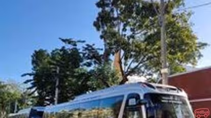 Giant Ibis Bus-Side Image