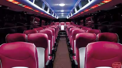 Giant Ibis Bus-Seats layout Image