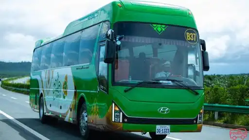 Larryta Bus Bus Front Image