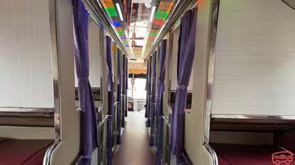 Lana Express Bus-Seats Image