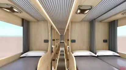 Saly VIP  Bus-Seats Image