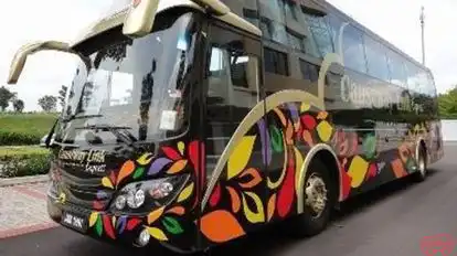 Causeway Link Express Bus-Front Image
