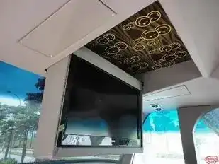 Causeway Link Express Bus-Side Image