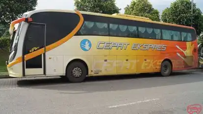 Cepat Express Bus-Side Image