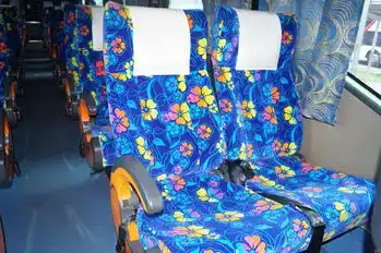 Melor Interline Express Bus-Seats Image