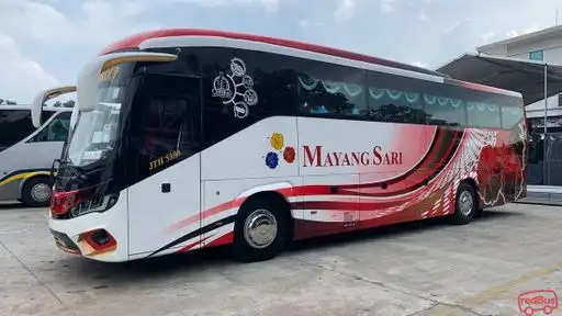 Mayang Sari Express Bus-Front Image