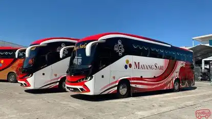 Mayang Sari Express Bus-Side Image