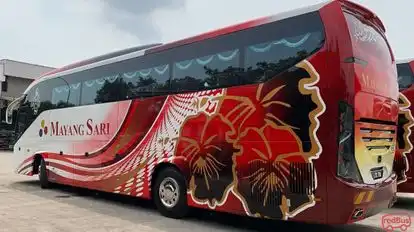 Mayang Sari Express Bus-Side Image