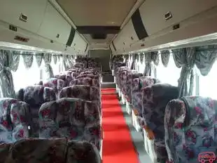 Mayang Sari Express Bus-Side Image